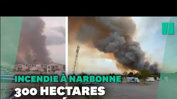 Important feu de forêt dans le Massif de la Clape près de Narbonne dans l'Aude