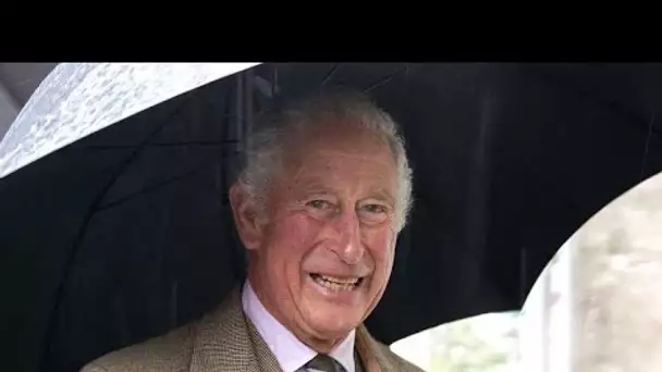 Prince Charles : une fois roi, il donnera une énorme somme d’argent au Prince William, mais pas au
