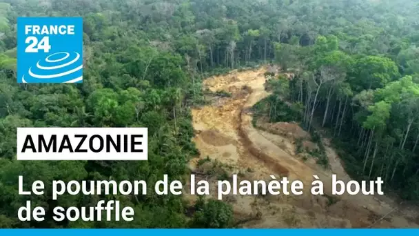 Amazonie: Le poumon de la planète à bout de souffle • FRANCE 24