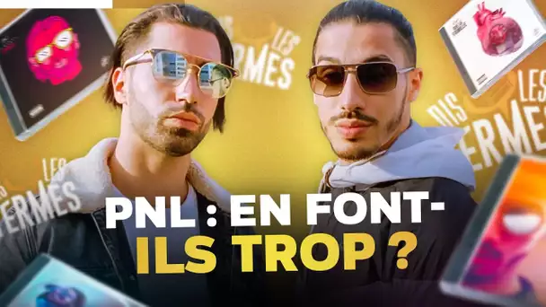 PNL en font-ils trop ? | DIS LES TERMES #7