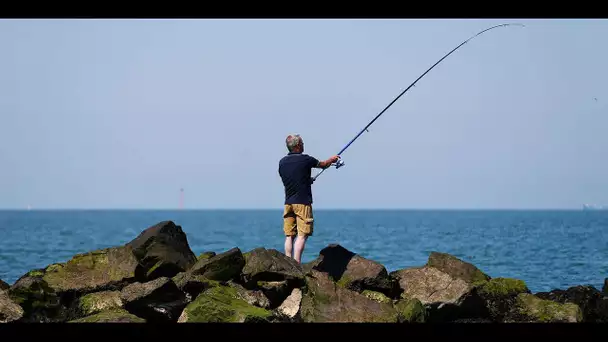 Les algorithmes vont-ils faire de la pêche une activité plus efficace et moins solitaire ?