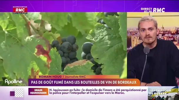 Incendies en Gironde : pas de goût fumé dans les bouteilles de vin de Bordeaux
