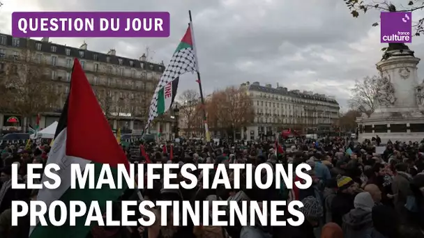 Interdiction des manifestations propalestiniennes : que dit le droit ?