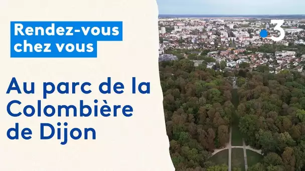 Rendez-vous chez vous, au Parc de la Colombière (Dijon)