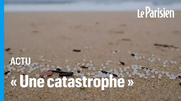Espagne : marée de micro-billes en plastique sur les plages du nord-ouest