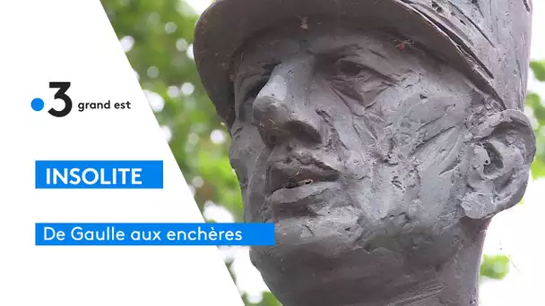 Insolite : de Gaulle aux enchères à Amnéville