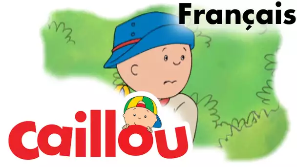 Caillou FRANÇAIS - Caillou l&#039;explorateur  (S01E62) | conte pour enfant | Caillou en Français