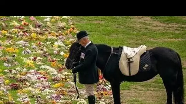 Le poney bien-aimé de la reine attire l'attention du public pour sa "révérence" alors que le cortège