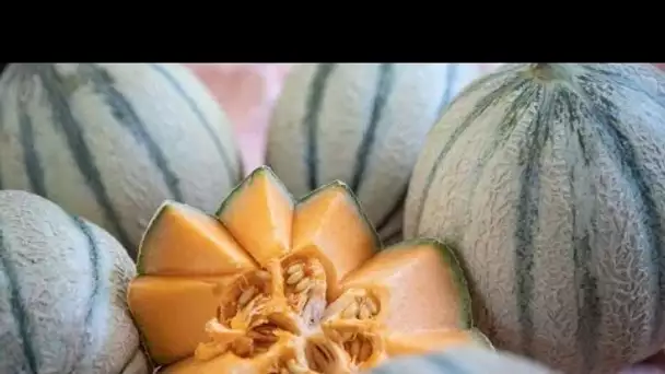 4 astuces magiques pour recycler les écorces des melons, et vous allez adorer !