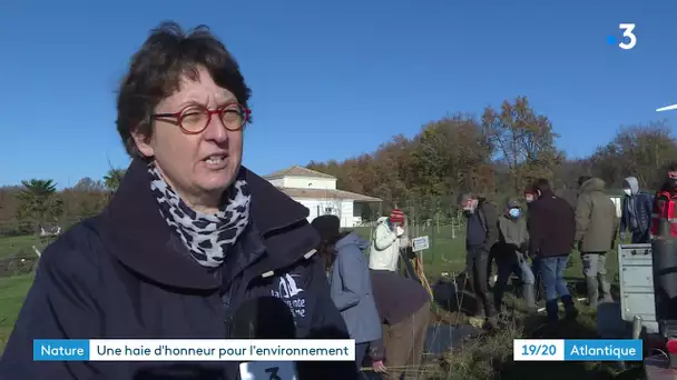 Charente-Maritime : des haies replantées à Berneuil
