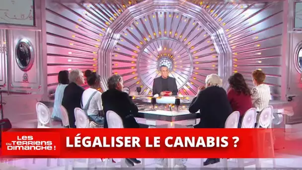 Cannabis : pourquoi faut-il légaliser ? - Les Terriens du Dimanche