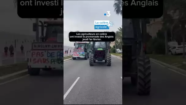 Les agriculteurs en colère ont investi la promenade des Anglais jeudi 1er février