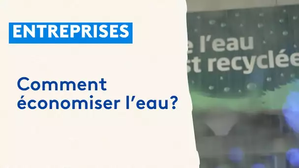 Comment faire des économies d'eau en étant une entreprise ?