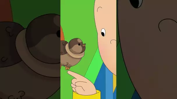 Animaux du Monde Entier