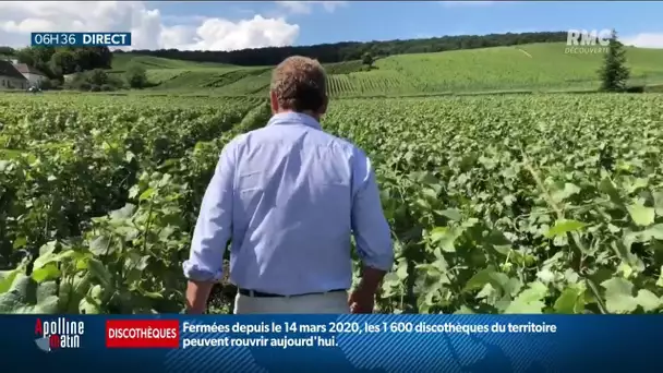 Russie-France : la colère ne retombe pas chez les producteurs de champagne