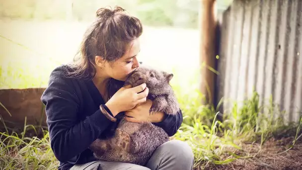 Cette fille est la meilleure amie des wombats - ZAPPING SAUVAGE