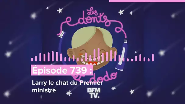 Les dents et dodo - “Épisode 739 : Larry le chat du Premier ministre”