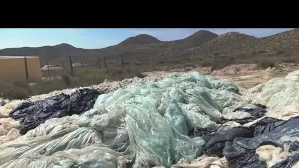 Espagne : le défi du recyclage du plastique en Andalousie, potager de l'Europe • FRANCE 24