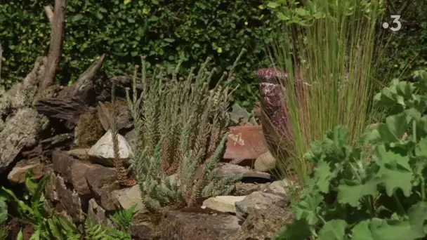 Mon jardin en Normandie - épisode 18 : la Bosquerie, racontée par Christine Banse