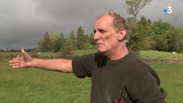 Chevaux mutilés dans le Jura : un mystère toujours non résolu