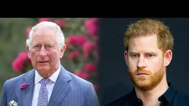 Prince Harry choc de l’ADN, sa charge contre Charles