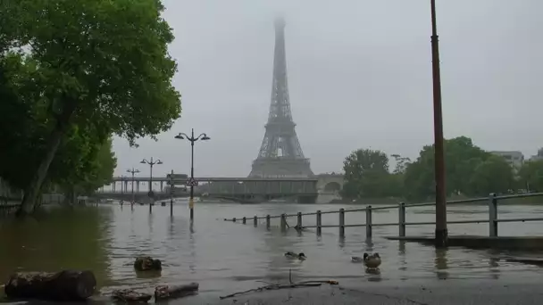 Déluge à Paris : la Seine monte à un niveau historique