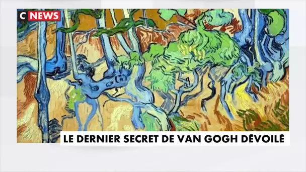 Le dernier secret de Van Gogh dévoilé, 130 ans après