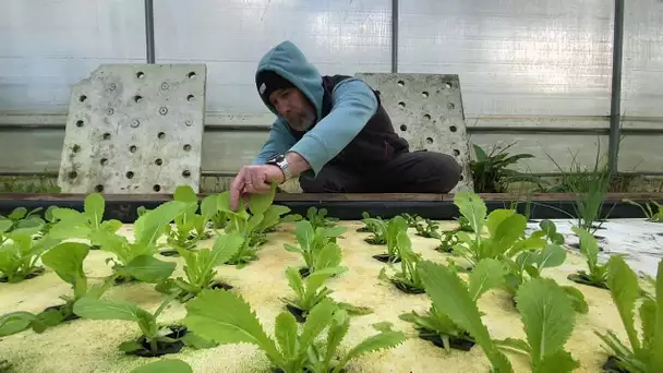 Tout plaquer pour l'agriculture 1 - La ferme aquaponique du Cotentin