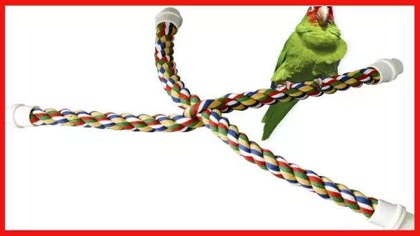 JW Pet Booda Byrdy Bush Interactive Bird Toy, Cable Cross Multi, Medium