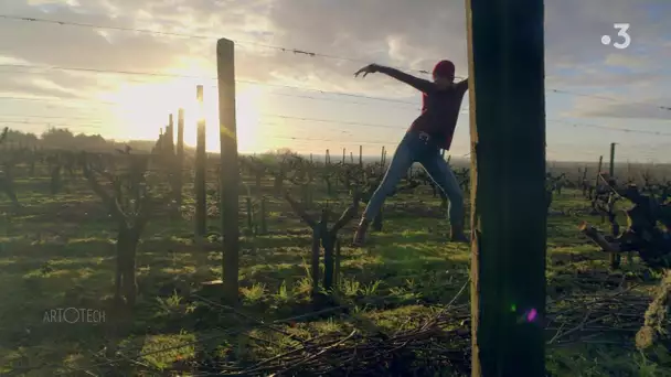 #corps émouvants Milane Cathala-Difabrizio chorégraphie les vignes de Rablay-sur-Layon SVO