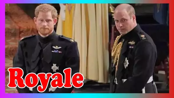 «trois gestes cachés»du prince William au mariage de Harry ont montré la«panique»du langage corpor3l