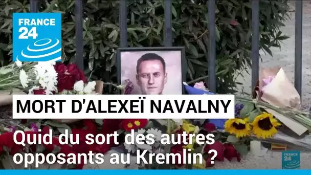 Mort d'Alexeï Navalny : quid du sort des autres opposants au Kremlin ? • FRANCE 24