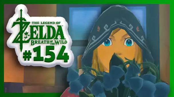 ZELDA BREATH OF THE WILD : Il Faut qu&#039;on Parle ! #154