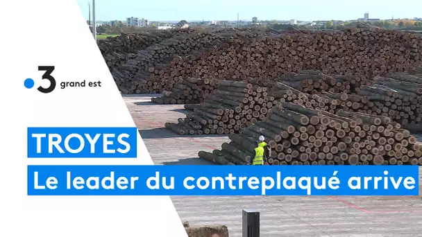 Garnica, le leader mondial du contreplaqué s'installe à Troyes
