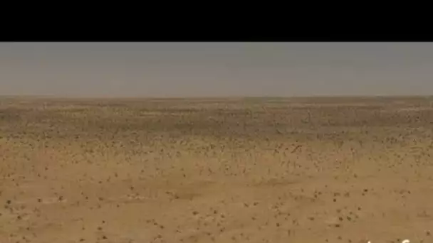 Mauritanie : Tichit et étendue de désert