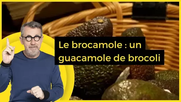 Le brocamole : un guacamole de brocoli  - C Jamy
