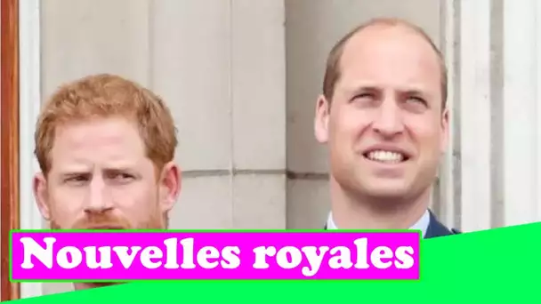 Le prince Harry `` a accumulé du ressentiment '' vu dans des explosions alors que William se sépare