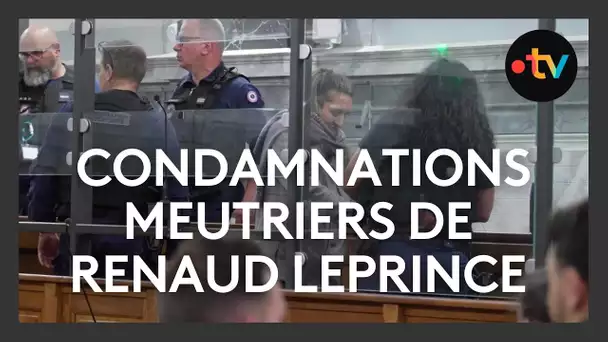 Réclusion criminelle à perpétuité pour les deux accusés du meurtre de Renaud Leprince à Pau en 2020.