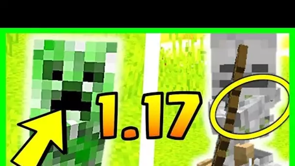 5 BUGS A MOURIR DE RIRE DANS MINECRAFT 1.17 (rip le respect) 😂