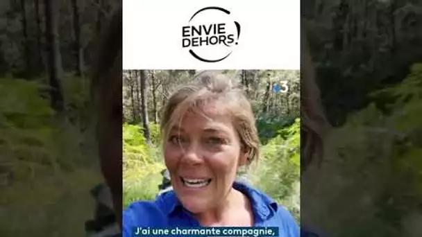 Sur les chemins vendéens avec un âne !