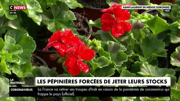 Les pépinières vont devoir jeter leurs stocks