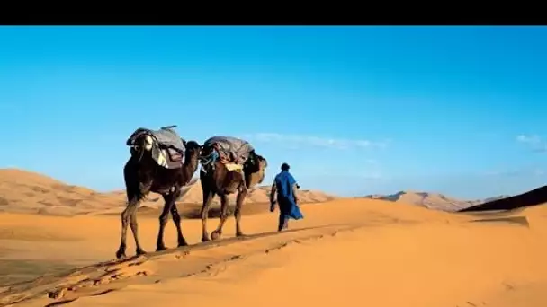 Au delà des voyages - Maroc la lumière du sud