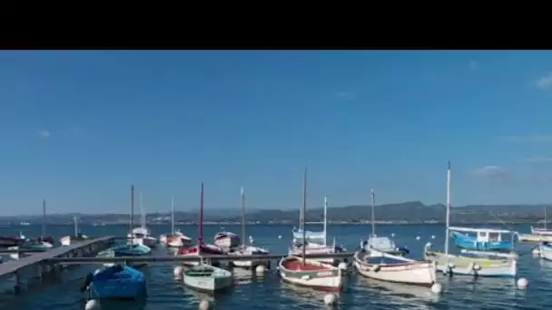 Si vous habitez le Brusc dans le Var, vous avez déjà vu des pointus, ces jolis bateaux en bois