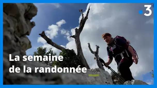 Marche nordique, longe-côte, randonnée pédestre, c'est la semaine de la randonnée en Provence