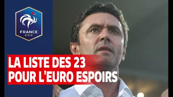 La liste des 23 joueurs pour l'Euro