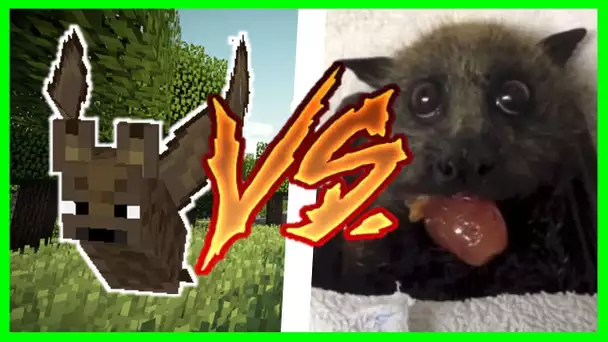 MINECRAFT VS LA VRAIE VIE 7