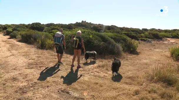 Domaine de Murtoli : le difficile accès au sentier du littoral