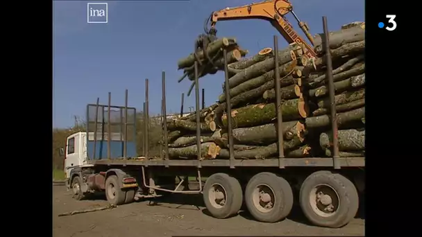Restauration de la gare pour le transport du bois de Châtillon sur Seine, reportage du 22 mars 2000