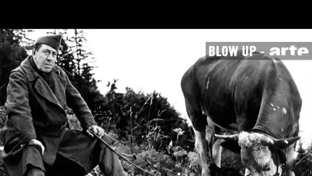 La Vache au cinéma - Blow Up - ARTE