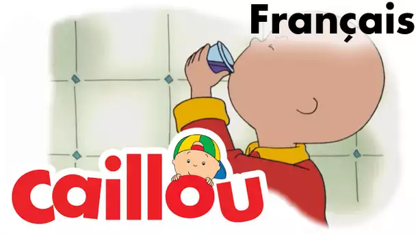 Caillou FRANÇAIS - Le Grand Caillou (S02E10) | conte pour enfant | Caillou en Français
